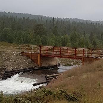 Rapport frå fellestur 15.aug